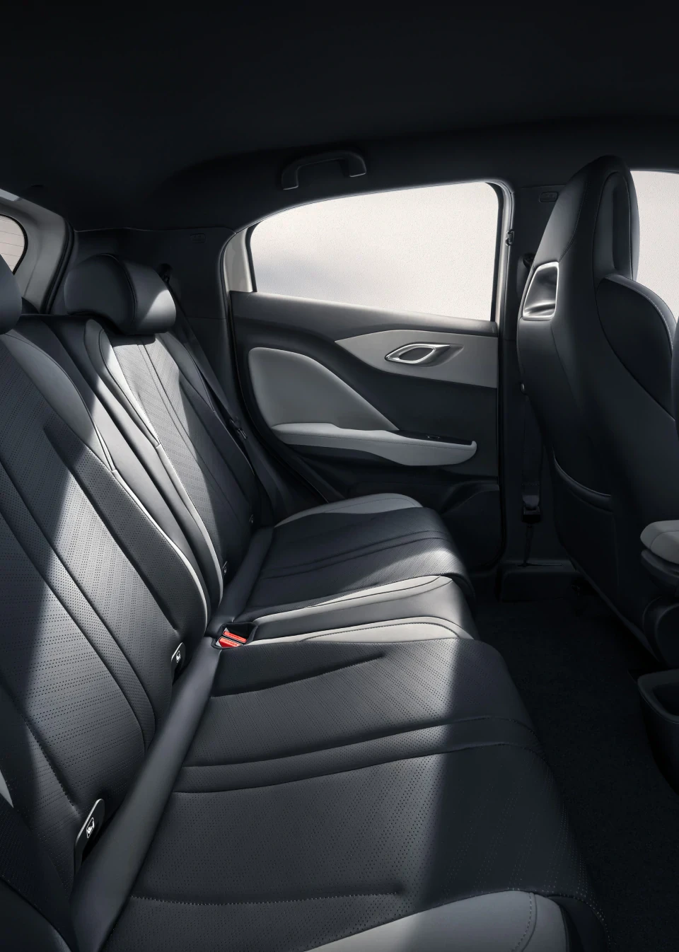 BYD Dolphin / Dolphin Surf 2026